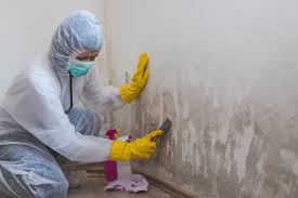 Mold Removal for HVAC Installations in Vinton, LA